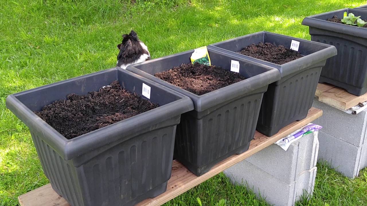 How to Make an Elevated Garden Bed! YouTube