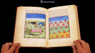 LA MIRABILE VISIONE - Browsing Facsimile Editions (4K / UHD) LA MIRABILE VISIONE - Browsing Facsimile Editions (4K / UHD)