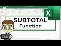 Using the Excel SUBTOTAL Function