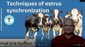 "Estrus Synchronization in Domestic Animals: Techniques and Benefits | GNP Sir"