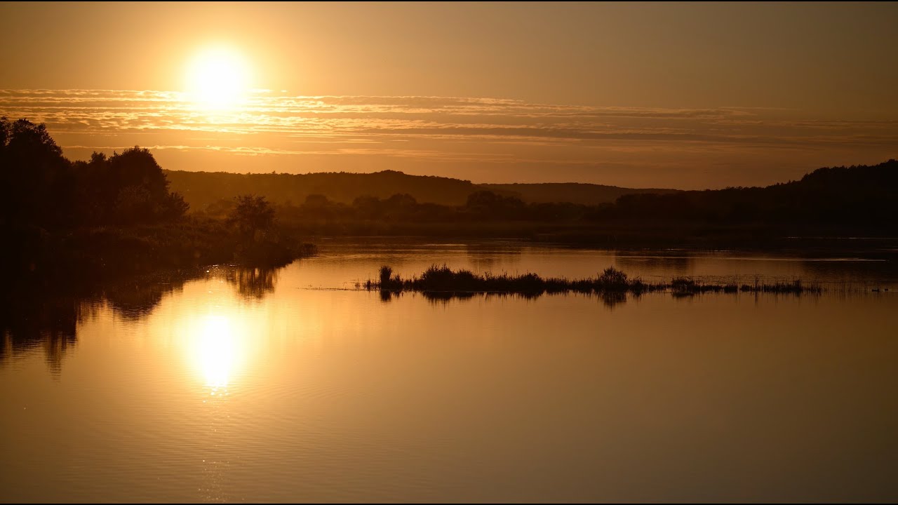 Golden Sunset Reflection Over a Quiet Lake | 4K Nature Loop