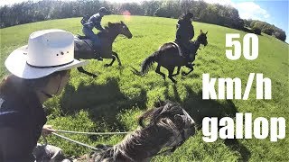 Extreme horse galloping //Best of Kristy. M Ranch //