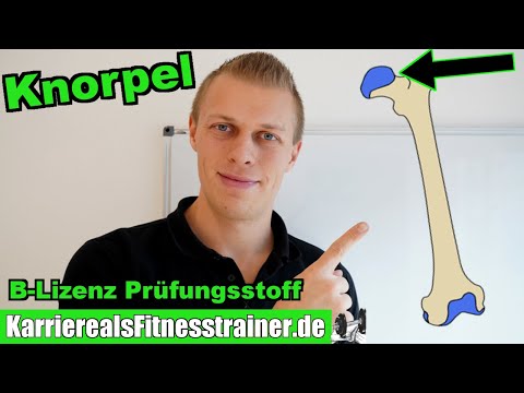 Video: Ist Knorpel ein Knochen?