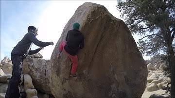 Joshua Tree - Tidal Wave V9