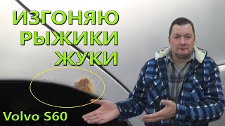 Удаление жучков, рыжиков на арке колеса. Volvo S60.