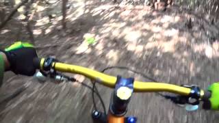 ＭＴＢトレイルライド　Ｙ－ＬＩＮＥ　20140923