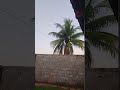 Na beira da Estrada 😃