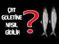 ERZURUM ÇAT DSİ GÖLETİNE NASIL GİDİLİR ?