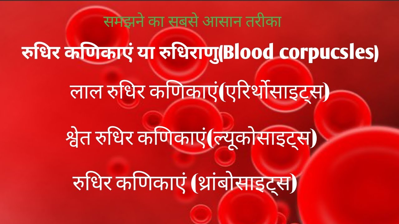 रुधिर कड़िकाए या रूधिराणु । लाल रुधिर कड़िकाए । श्वेत रुधिर कड़िकाए । ( Blood Corpucsles ) Biology।🔥