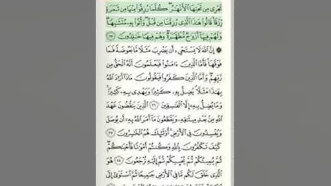 سورة البقرة صفحة 5:صوت الشيخ عبدلله بصفر/قناة:جواد شهاب الدين