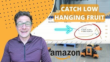 Safe Guard Your Amazon PPC With Running Automatic Campaigns Caught the Low Hanging Fruit Tutorial