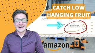 Safe Guard Your Amazon PPC With Running Automatic Campaigns Caught the Low Hanging Fruit Tutorial
