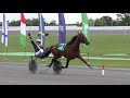 2017 International Trot Day