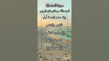 سورة النساء الآية ٨