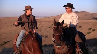 Wilson Ranch Feature