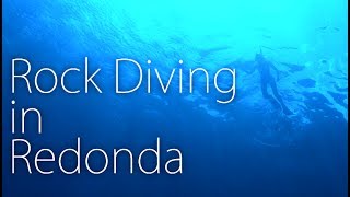 SSL ~ 021 ~ Rock Diving on Redonda