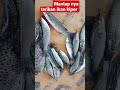 Mancing blanak ikan kiper pun ikut makan mantap trending macing