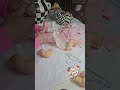 Sharing Part Two Changes to Cloth Body from QUICK VIDEO Shared for Vogue Baby Dear Tutorial