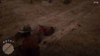 Red Dead Redemption 2_20181216234507