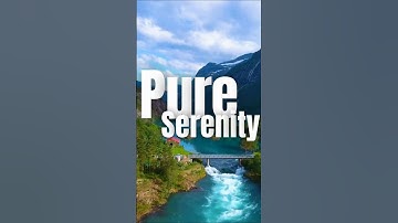 Master Text Animation in Canva | Intro Animated Text Tutorial