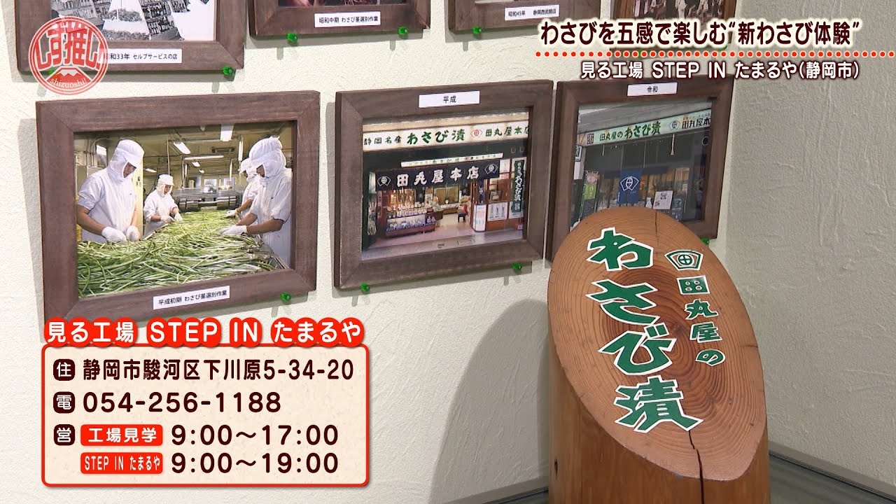 田丸屋本店 見る工場】わさびの辛み体験から幻想的なアート空間まで