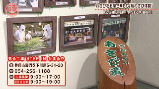田丸屋本店 見る工場】わさびの辛み体験から幻想的なアート空間まで