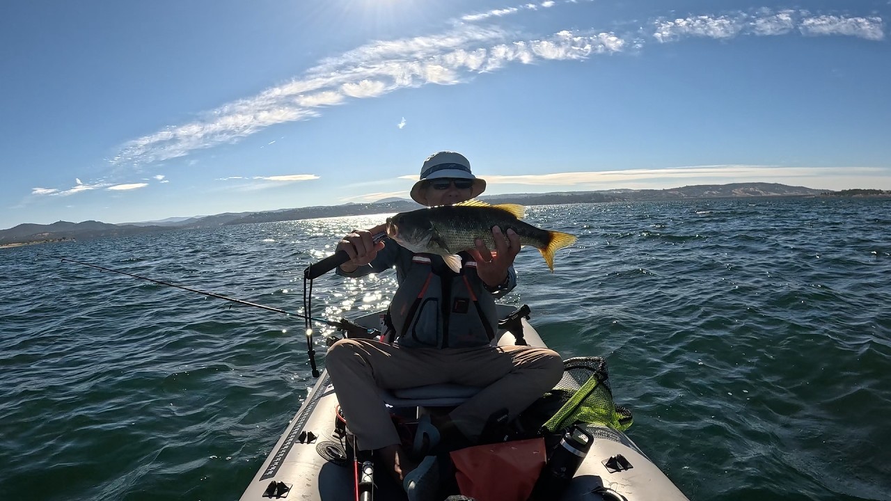 HUGE bass gave me a battle in windy conditions!