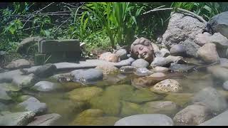 Ostdrossel pond cam
