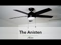 Contemporary fan from hunter  the anisten