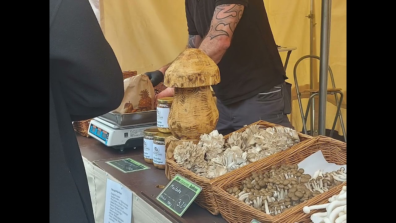 Adventurous Manipuri at a Weekend Market Square, Mainz, Germany