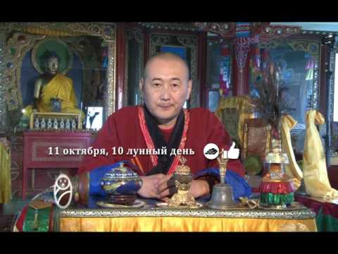 Зурхай 11 октября