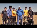 чемпионы Туркмении и областей Туркменский Волкодав Work Dogs Champions Alabai Turkmen it alabay САО