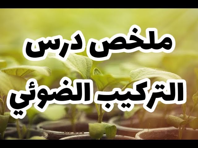 ملخص درس التركيب الضوئي (علوم طبيعية سنة أولى متوسط)