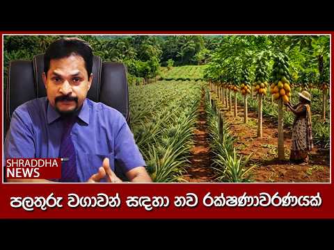 පලතුරු වගාවන් සඳහා නව රක්ෂණාවරණයක්