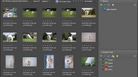 Photoshop Elements 7 Tutorial Video - Training - Selecting and Selections