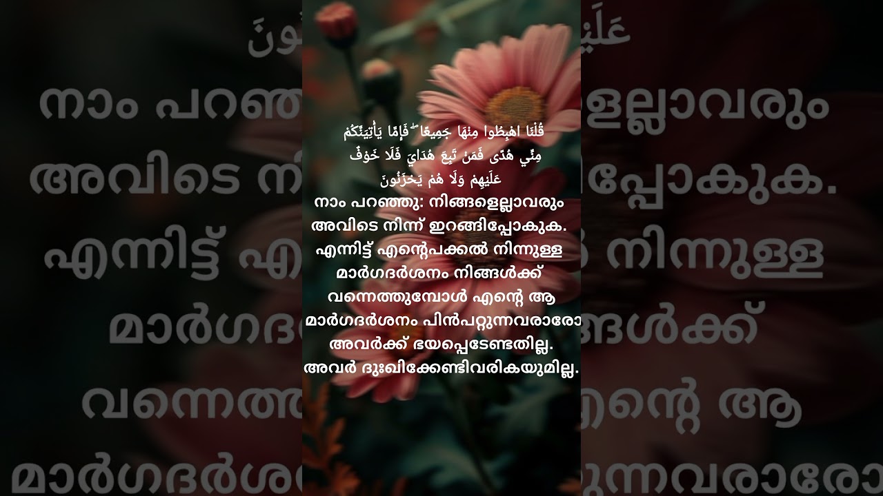 Surah Al Baqarah-Verse 37-39