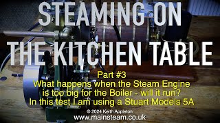 Thumbnail for STEAMING ON THE KITCHEN TABLE - PART #3