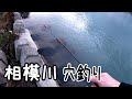 相模川のテトラ、穴釣りするとまさかの?
