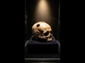 Why This 4000 Year Old Skull Shocked Scientists #Shorts