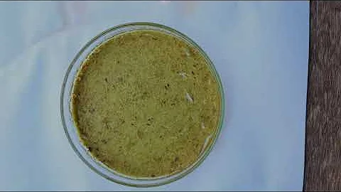 PRODUCTION OF BIOPLASTIC FROM BANANA PEELS