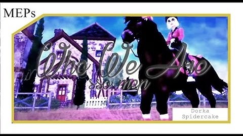 WHO WE ARE - SSO MEP