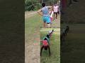 #viral #shortsviral #army #youtube