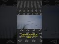 How do birds fly in a V formation