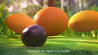 Real Goodness In Every Gl Of Ribena