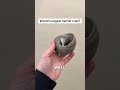 Lovely ocean find