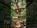 Forest Treehouse! timelapse video. #shorts #timelapse