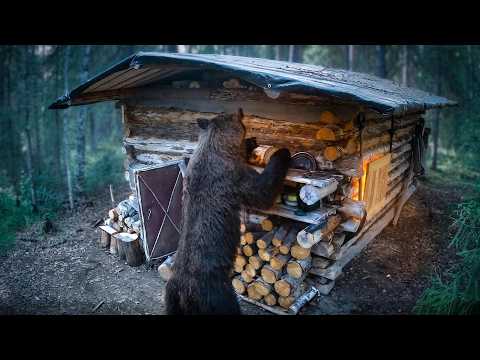 BEAR BROKE INTO MY CABIN! Assessing the Damage