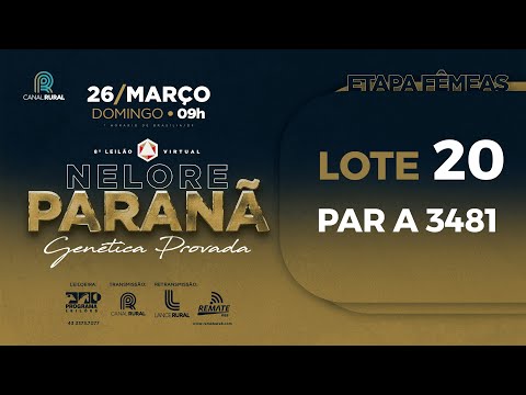 LOTE 20 PAR A3481