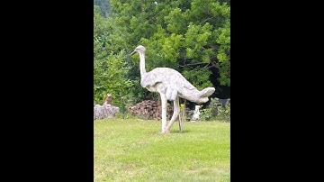 Craig Hughes with WHAT? bought on #tv  #Series #salvagehunters