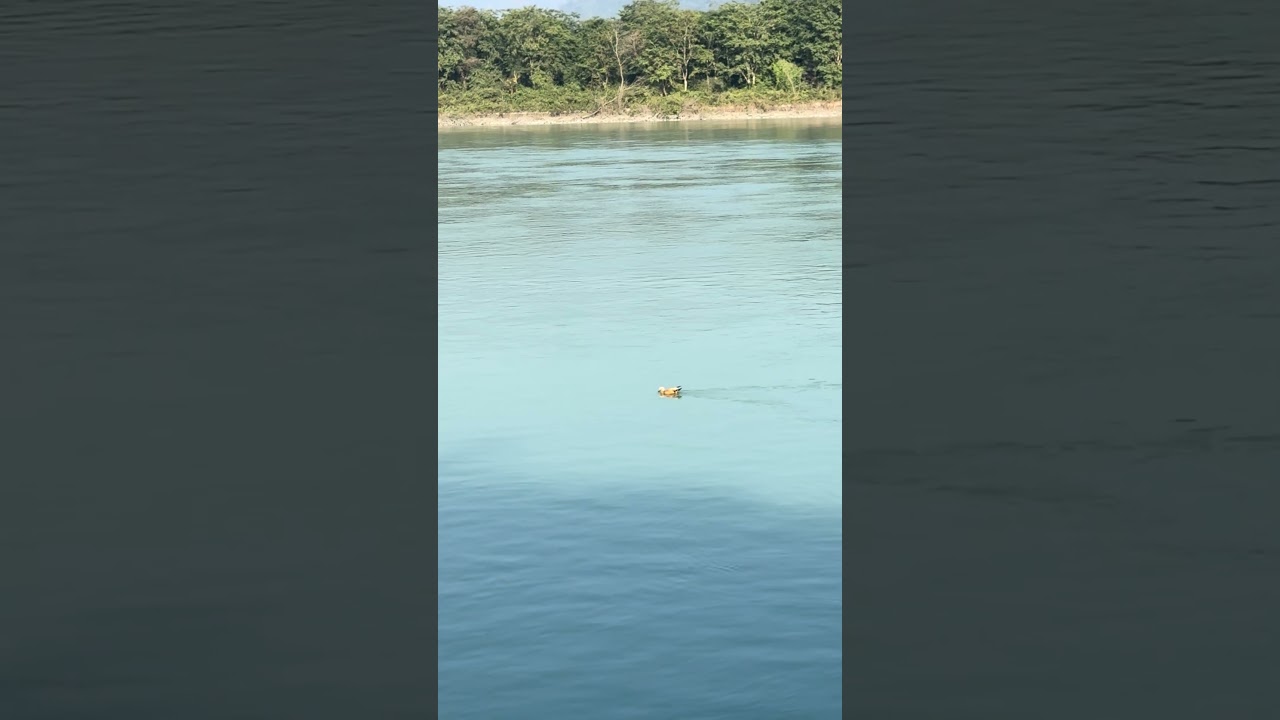 Karu Vandan Hey Shiv Nandan Shorts Shortsvideo Shortsfeed Ganesh Bhagwan - Hindi Status Tube